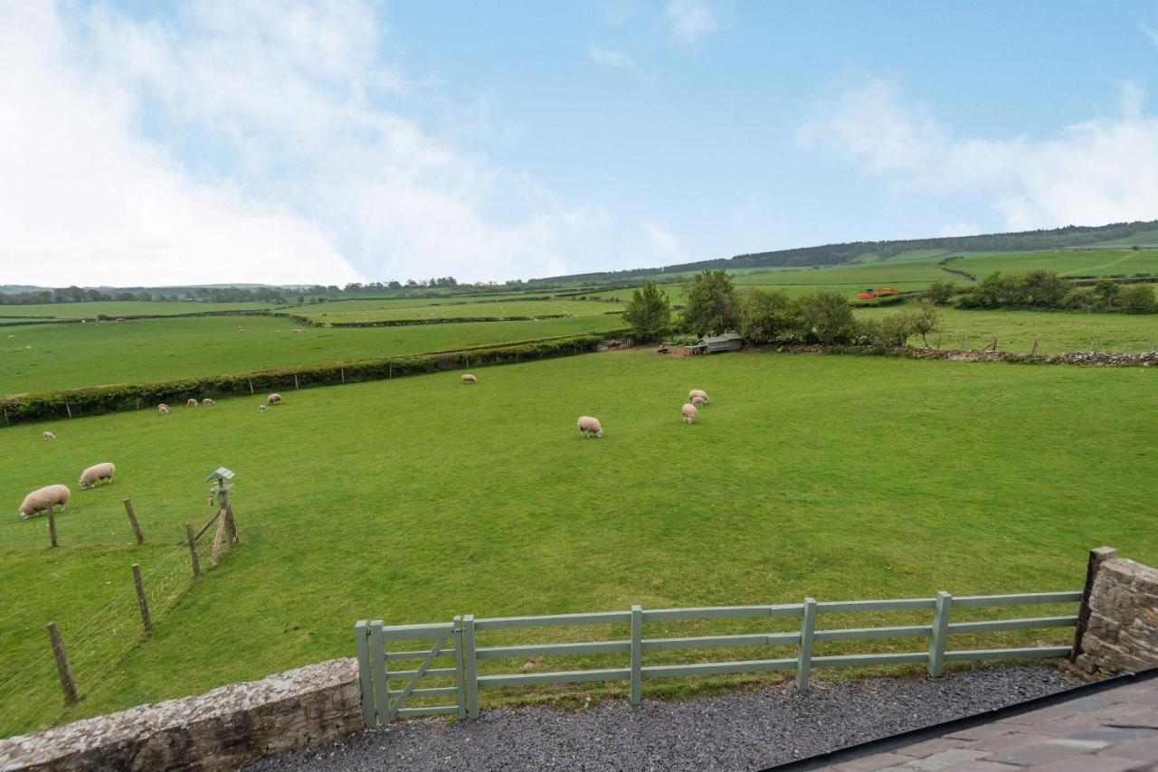Hafan Haydn Cwm (Clwyd) Exterior foto